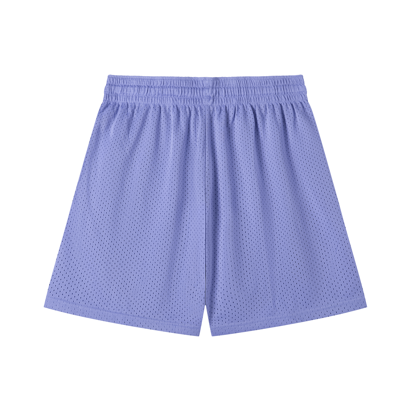 The Known Mesh Shorts